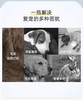 逸诺PH7系列 商品缩略图2