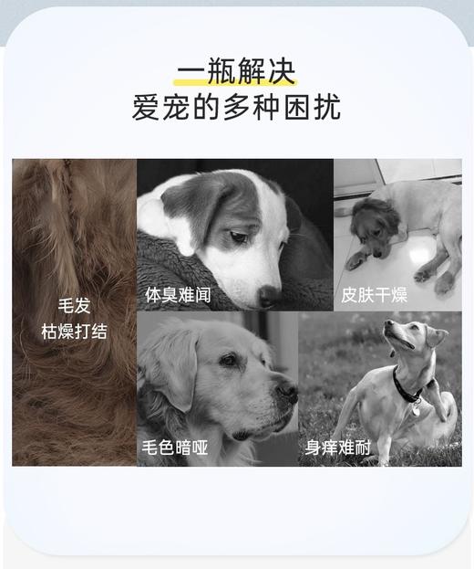 逸诺PH7系列 商品图2