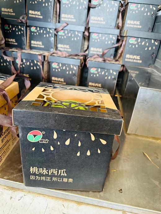 上海南汇8424西瓜金奖桃咏 商品图7