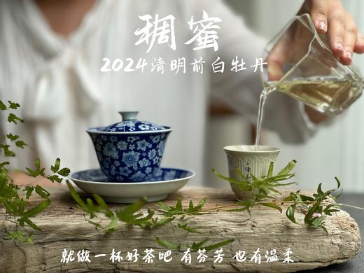 【2024春茶来了】2024清明前白牡丹滋味稠蜜、汤水柔润、花香清丽，在喉间，开出了一朵朵炫烂的春日之花 商品图13
