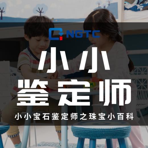 46.十二月生辰石-坦桑石（一） 商品图0