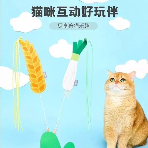 【仙女逗猫棒！蜜绒棒棒糖造型】猫咪互动好玩伴，尽享狩猎乐趣，猫咪和铲屎官的互动娱乐猫玩具 商品图1