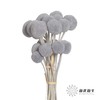 永生花材 | 黄金球灰色 商品缩略图0
