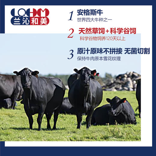 【兰沁和美】原切牛肉综合礼包 2010g 商品图3