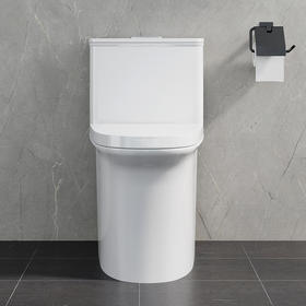 帝王洁具抽水马桶虹吸式小户型家用卫生间卫浴陶瓷静音节水坐便器TT009