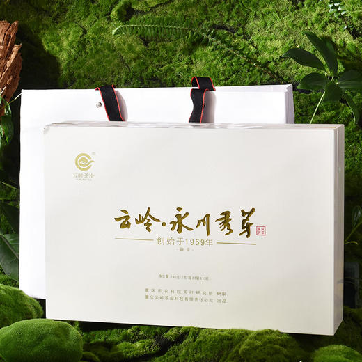 云岭茶业 永川秀芽2024年新茶茶叶礼盒装明前绿茶春茶 （御芽）礼盒装送礼 180g 商品图8