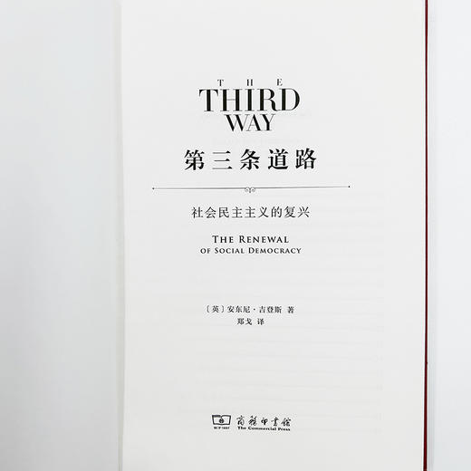 第三条道路：社会民主主义的复兴 商品图4