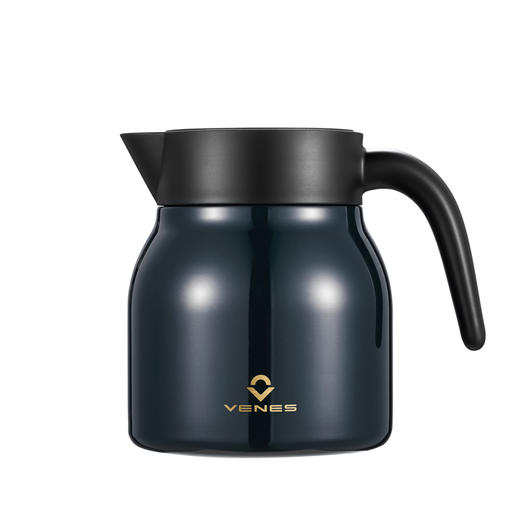 菲驰 茶大师焖茶壶FC6010-1000 商品图1