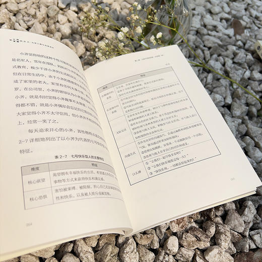 做人间清醒的自己 九型人格与自我成长 商品图2