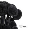 永生花材 | 黄金球黑色 商品缩略图4
