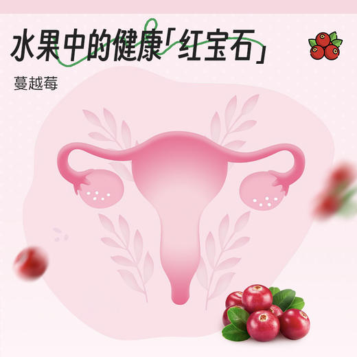 NA蔓越莓胶原蛋白软糖  浓缩蔓越莓汁 深海鱼胶原蛋白 重瓣玫瑰花 柠檬酸铁 促进私处微生态平衡 商品图2