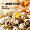 【会员99选10专区】单袋装王小卤卤汁鹌鹑蛋即食小零食宿舍夜宵追剧必备50g/袋 商品缩略图5