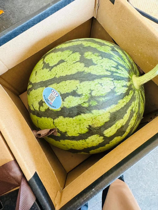 上海南汇8424西瓜金奖桃咏 商品图4