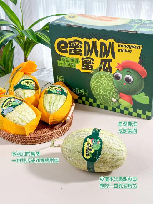 新疆蜜瓜，口感软脆相结合的一款蜜瓜，心软皮脆！约2.5-3斤/个 商品图2