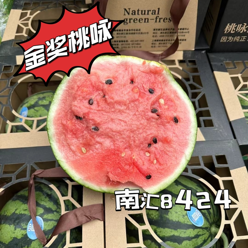 上海南汇8424西瓜金奖桃咏