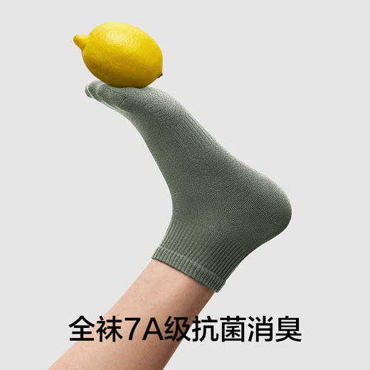 【肌理按摩】有棵树纯棉7A级抗菌男士中筒袜5双装-O2008 商品图2