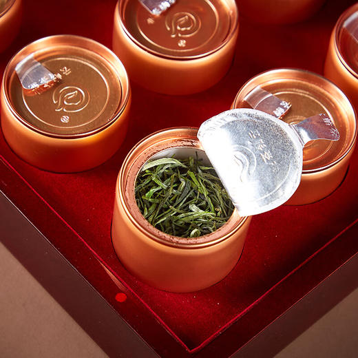 云岭茶业 永川秀芽 2024新茶绿茶高档(珍芽)茶叶礼盒装明前春茶送人送礼 高档木质礼盒120g 商品图2