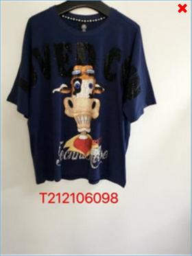TCHT212106098