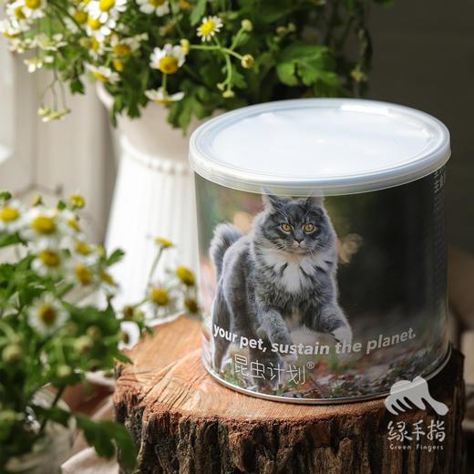 昆虫蛋白全价猫主食冻干粮  | 公平贸易*Insect protein full price cat staple frozen dry food| Fair Trade 商品图3