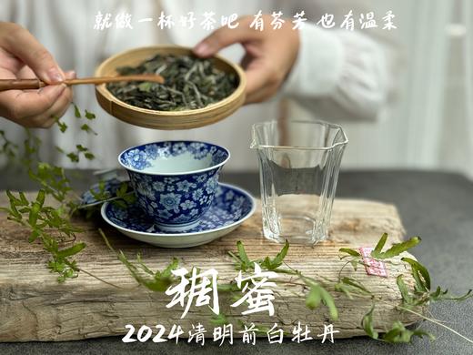 【2024春茶来了】2024清明前白牡丹滋味稠蜜、汤水柔润、花香清丽，在喉间，开出了一朵朵炫烂的春日之花 商品图7