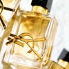 【全球购】圣罗兰YSL 自由至上女士香水浓香经典版50ml·香港🇭🇰直邮 商品缩略图1