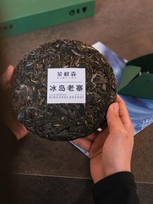 2024 冰岛老寨 森之王 春茶7折现货 送品鉴装礼盒 普洱茶 生茶 200g/饼 商品图1