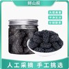 鲜山叔野桑葚干100g/1罐 商品缩略图0