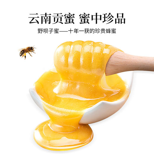 老滇凰红参蜜片片东北长白山人参片 商品图3