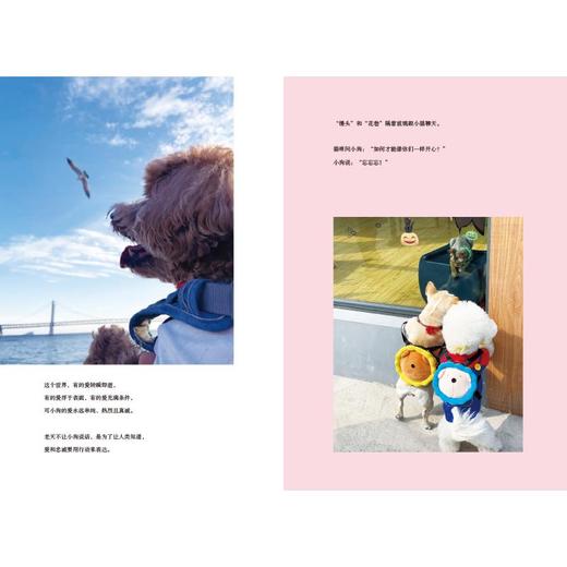 每个人的花期不同,不必焦虑有人比你提前拥有 商品图2