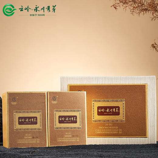 云岭茶业永川秀芽2024年新茶 明前绿茶茶叶礼盒高档(珍芽)茶叶送礼102g 高档木质礼盒102g 商品图2