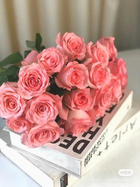 戴安娜王妃粉色系玫瑰5支