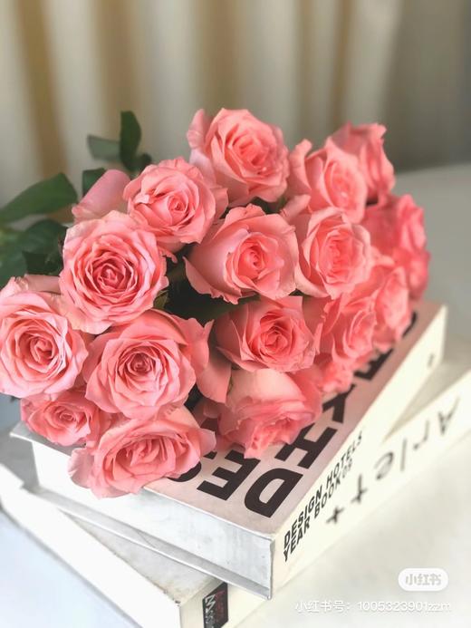 戴安娜王妃粉色系玫瑰5支 商品图0