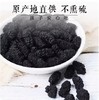 鲜山叔野桑葚干100g/1罐 商品缩略图1