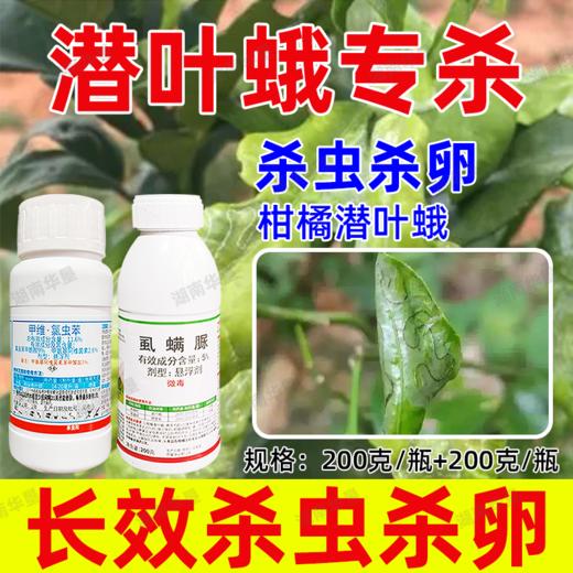 潜叶蛾专杀套餐正品虱螨脲杀卵柑橘果树锈壁虱潜叶蛾专用杀虫剂 商品图4