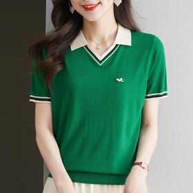 CC 13-6861天丝Polo翻领针织衫薄