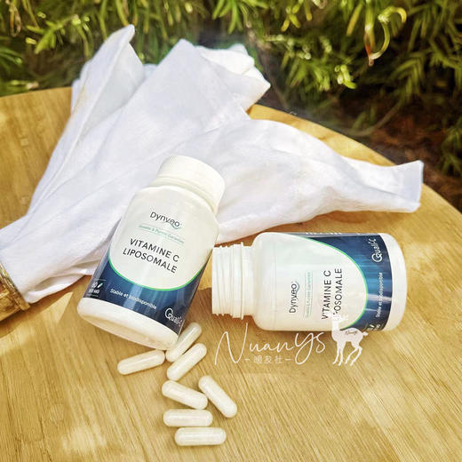 【养月夫美颜 強化免役 亢氧 好肤色 】脂质体vc 60粒/瓶 DYNVEO 法国 商品图3