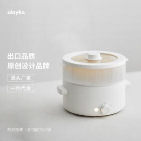 olayks立时s多功能一体小电锅电炒锅