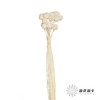 永生花材 | 黄金球白色 商品缩略图2