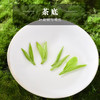 云岭茶业 永川秀芽2024年新茶茶叶礼盒装明前绿茶春茶 （御芽）礼盒装送礼 180g 商品缩略图6