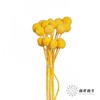 永生花材 | 黄金球黄 商品缩略图0