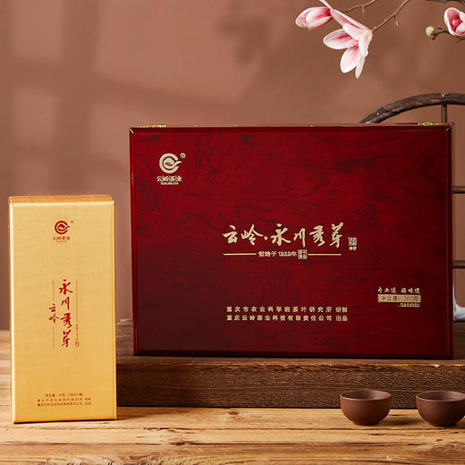 云岭茶业永川秀芽2024年新茶 明前绿茶(珍芽)茶叶礼盒装送礼207g 高档木质茶礼207g 商品图0