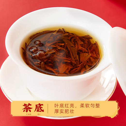 云岭茶业 工夫红茶(金叶)茶叶礼盒装浓香型重庆特产送礼送人 红色礼盒200g 商品图9