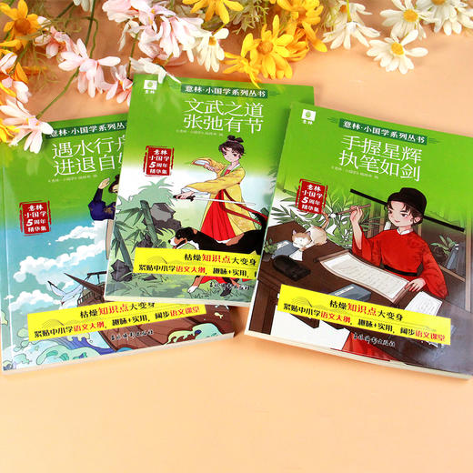 意林小国学5周年精华集（全3册） 商品图12