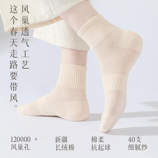 纯棉诸暨袜子女夏季薄款网眼女袜吸汗防臭女士中筒袜诸暨袜业_HLY 商品图1