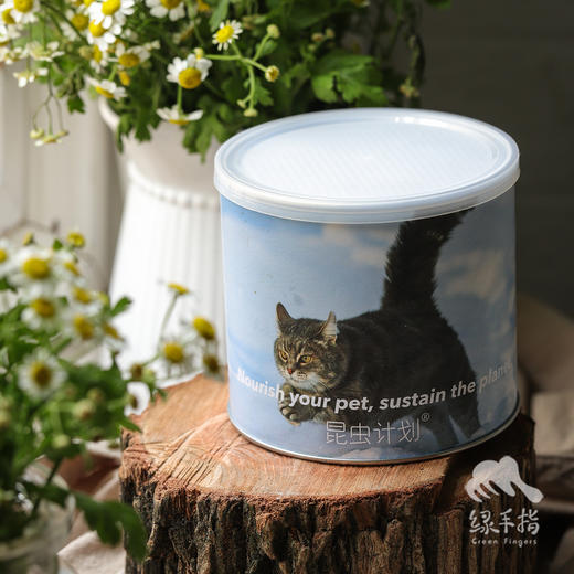 昆虫蛋白全价猫主食冻干粮  | 公平贸易*Insect protein full price cat staple frozen dry food| Fair Trade 商品图4