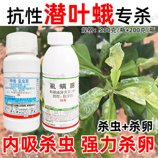 潜叶蛾专杀套餐正品虱螨脲杀卵柑橘果树锈壁虱潜叶蛾专用杀虫剂 商品图3