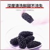 鲜山叔野桑葚干100g/1罐 商品缩略图3