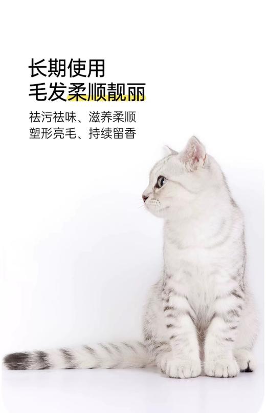 逸诺PH7系列 商品图4