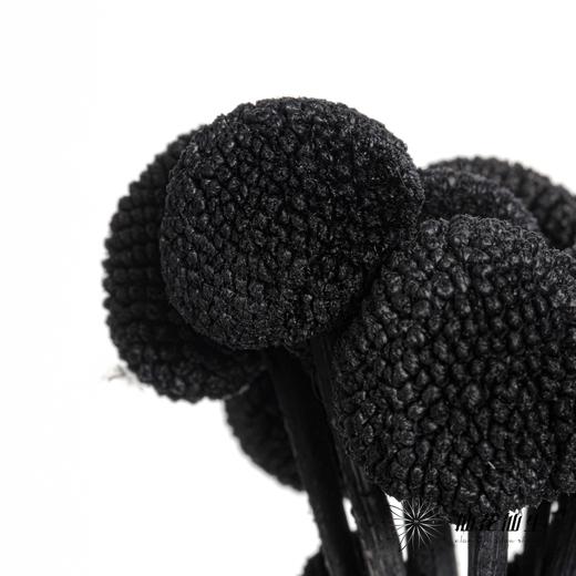 永生花材 | 黄金球黑色 商品图2