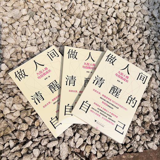 做人间清醒的自己 九型人格与自我成长 商品图1